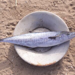 Bigger Than The Memory #2