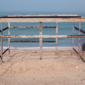 (Shatt) The Beach & (Shatta) the chillli Pepper #4