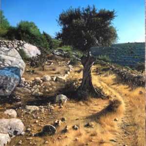 Olive Tree on the Al-Tierah Hills