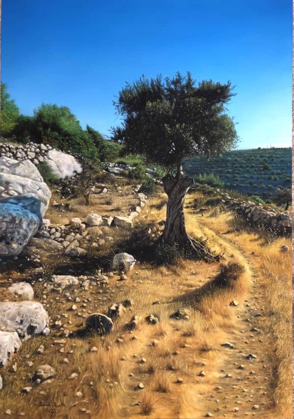 Olive Tree on the Al-Tierah Hills