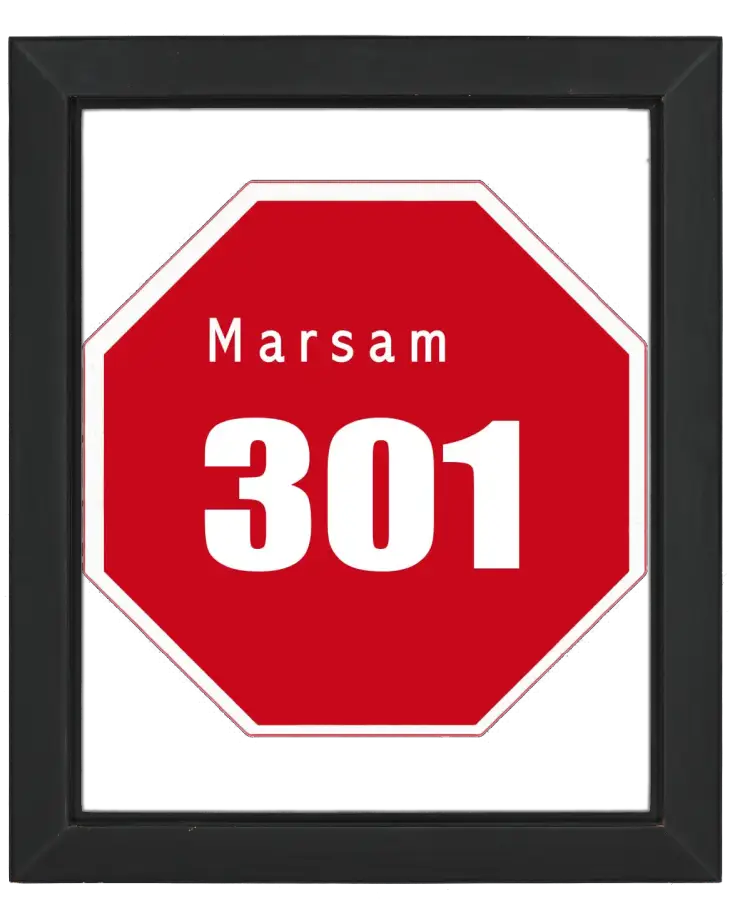 Marsam 301 - Profile Picture Framed